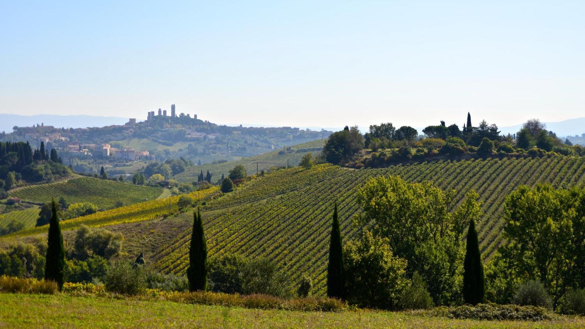Maison d'hôtes Fattoria Di Fugnano à San Gimignano Extérieur photo